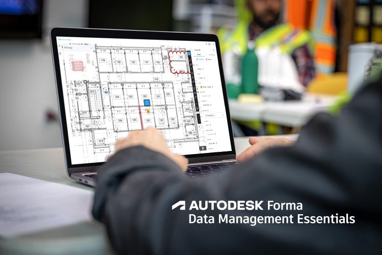 data management essentials on web